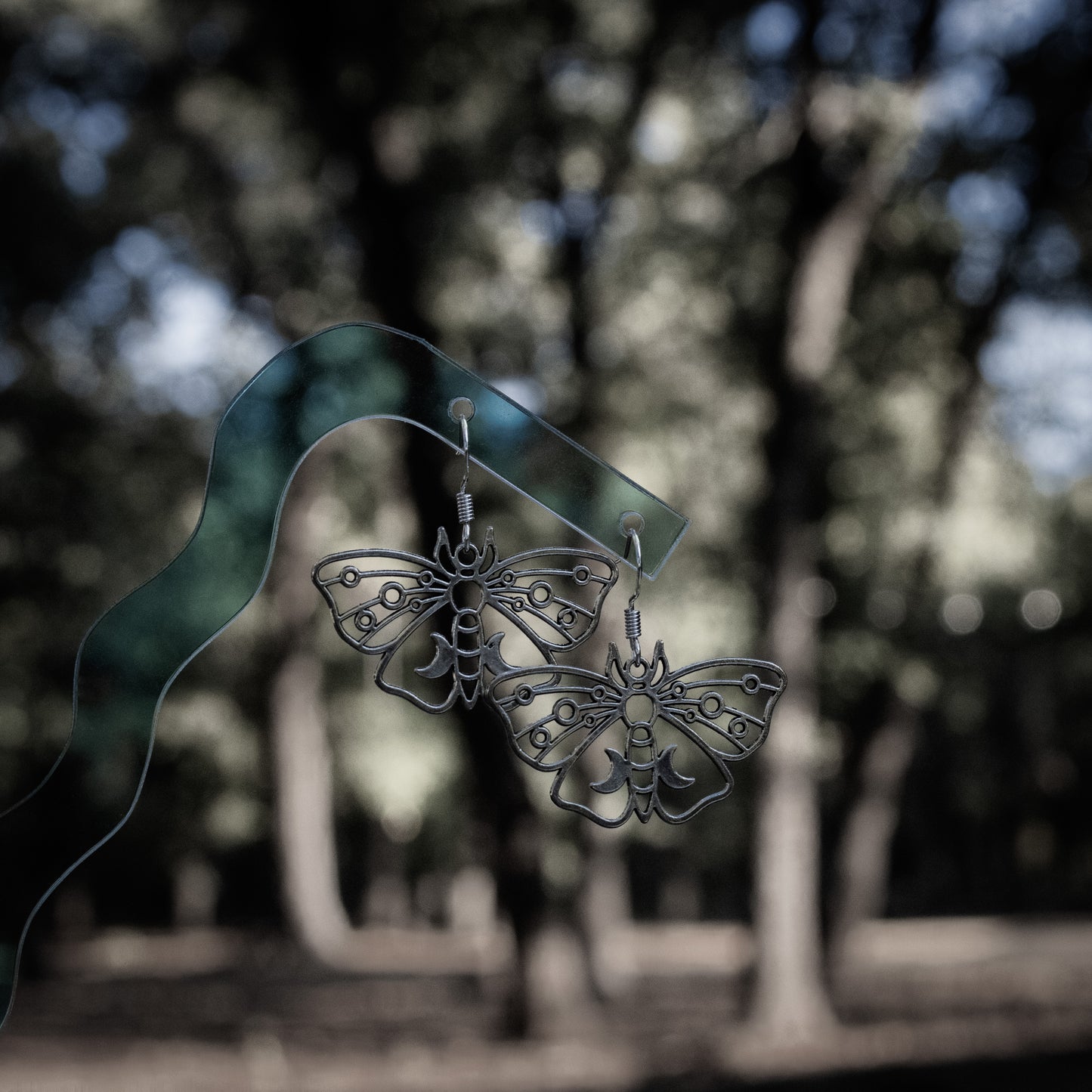 Moth Earrings